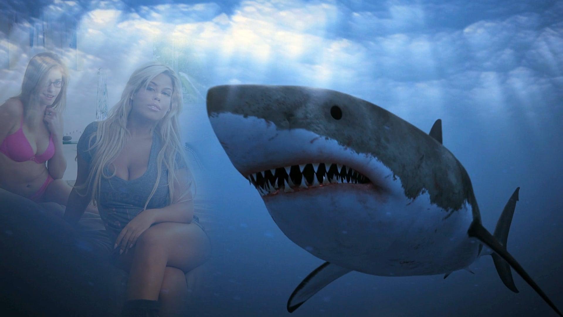 Backdrop for Shark Babes