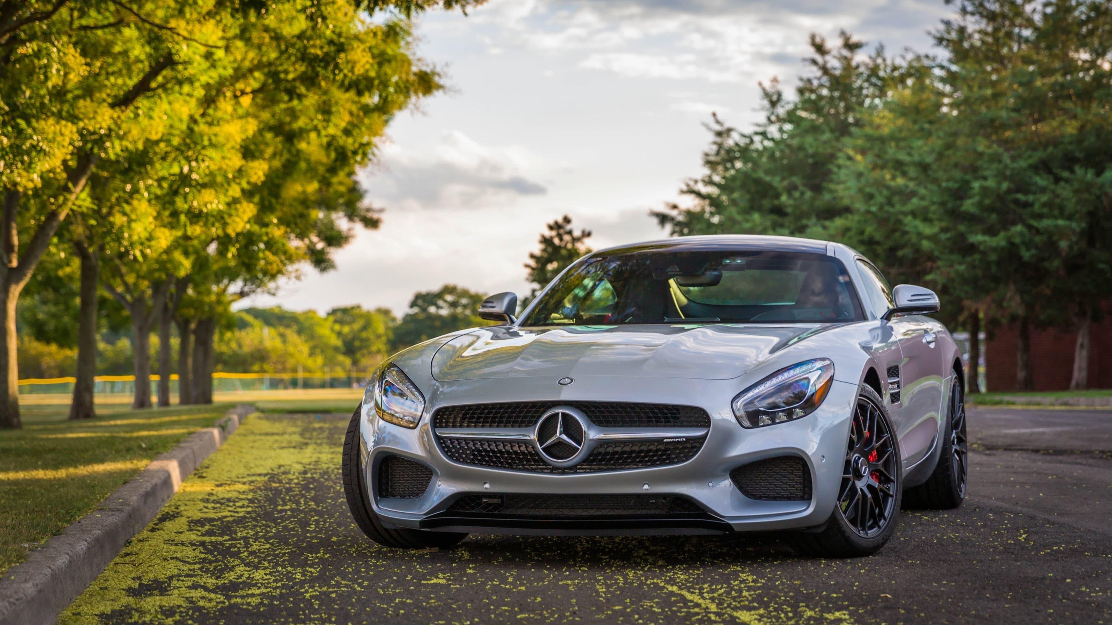 Backdrop for Das Auto: The Germans, Their Cars and Us