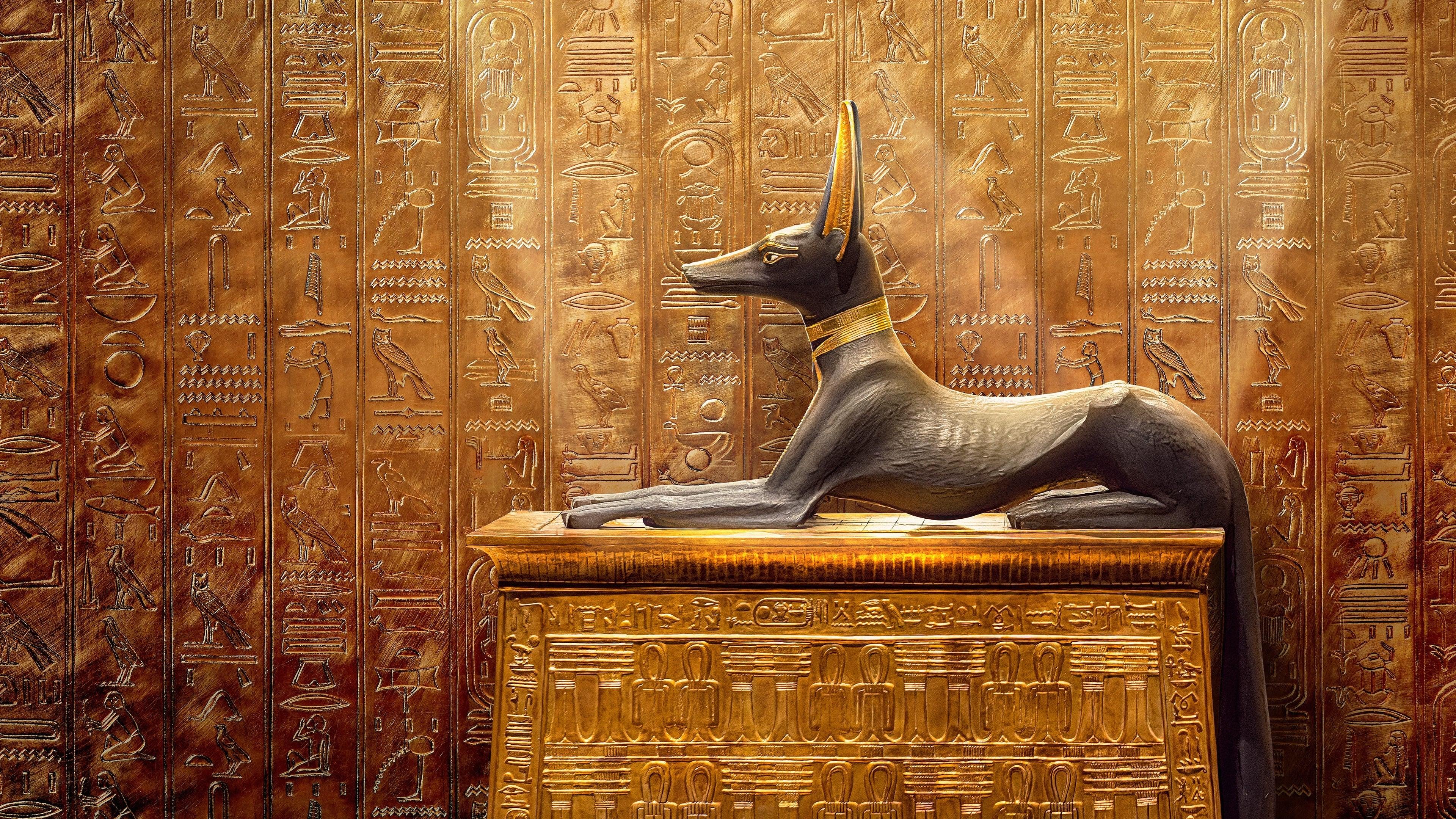 Backdrop for King Tut: A Century of Secrets