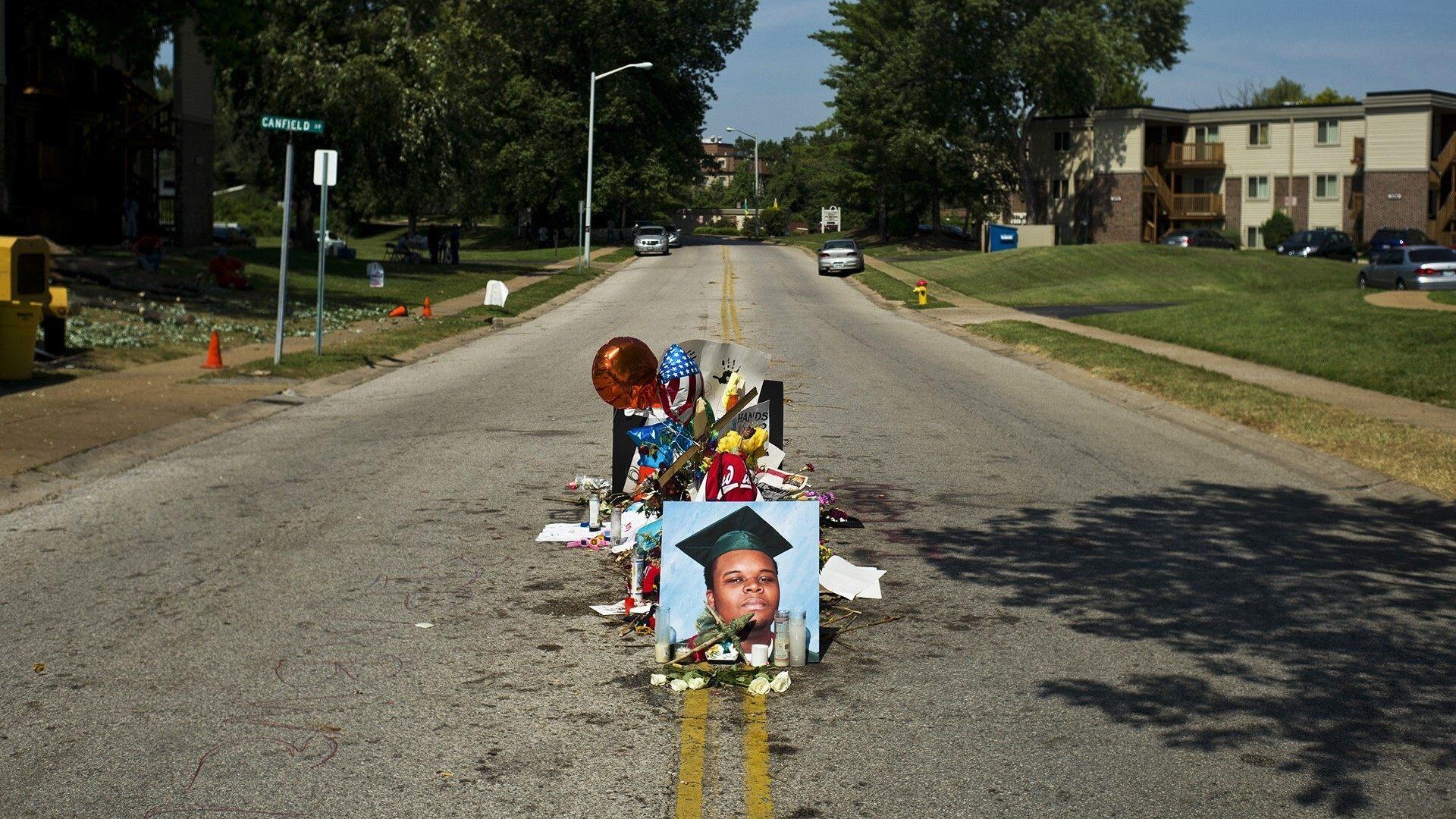 Backdrop for What Killed Michael Brown?