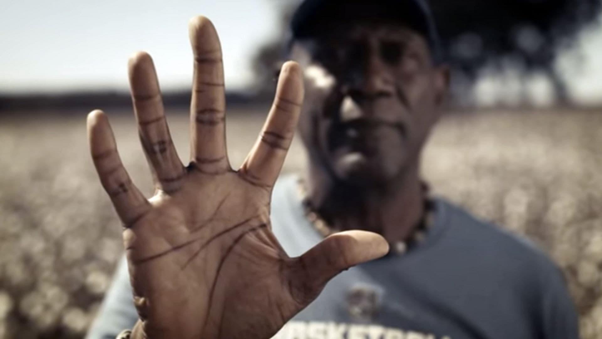 Backdrop for Full Court: The Spencer Haywood Story