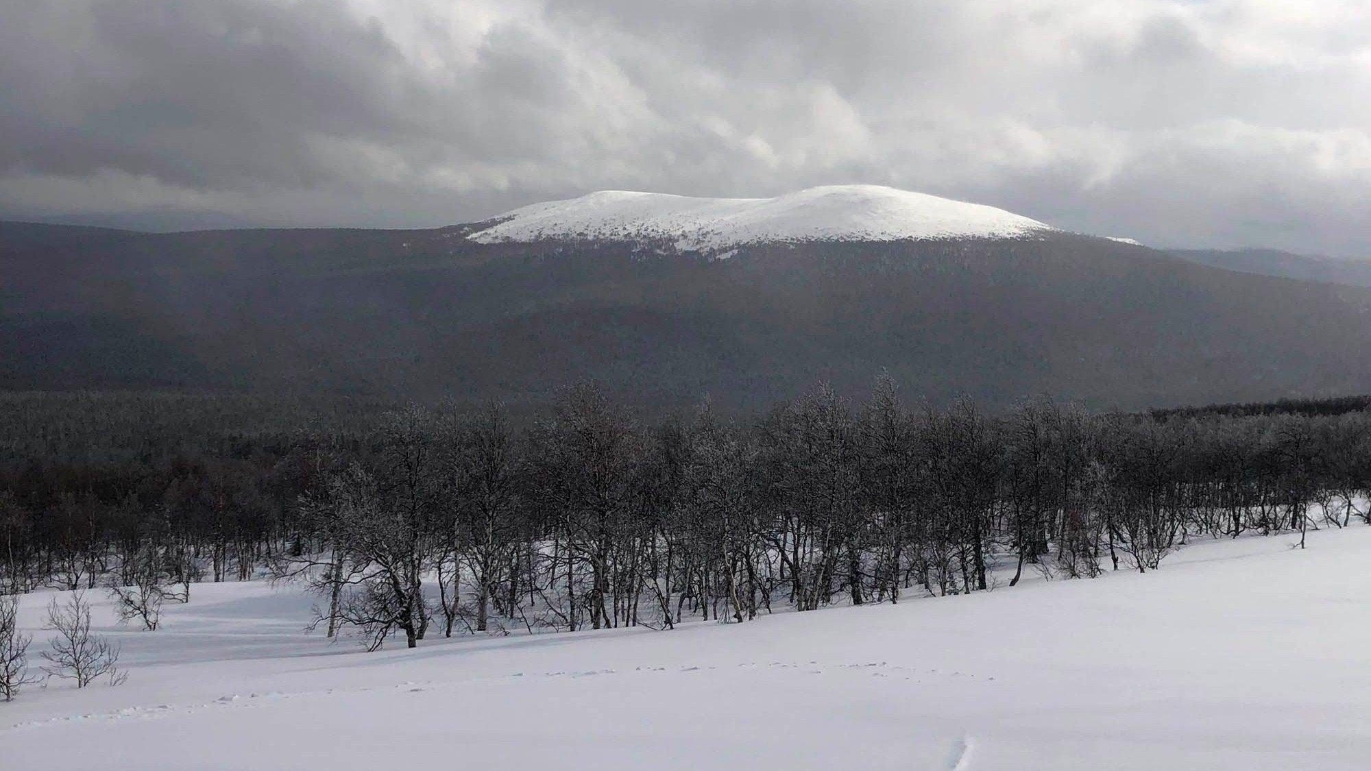 Backdrop for The Dyatlov Pass Incident