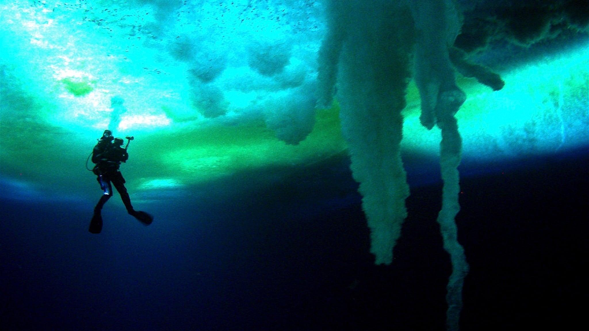 Backdrop for Encounters at the End of the World