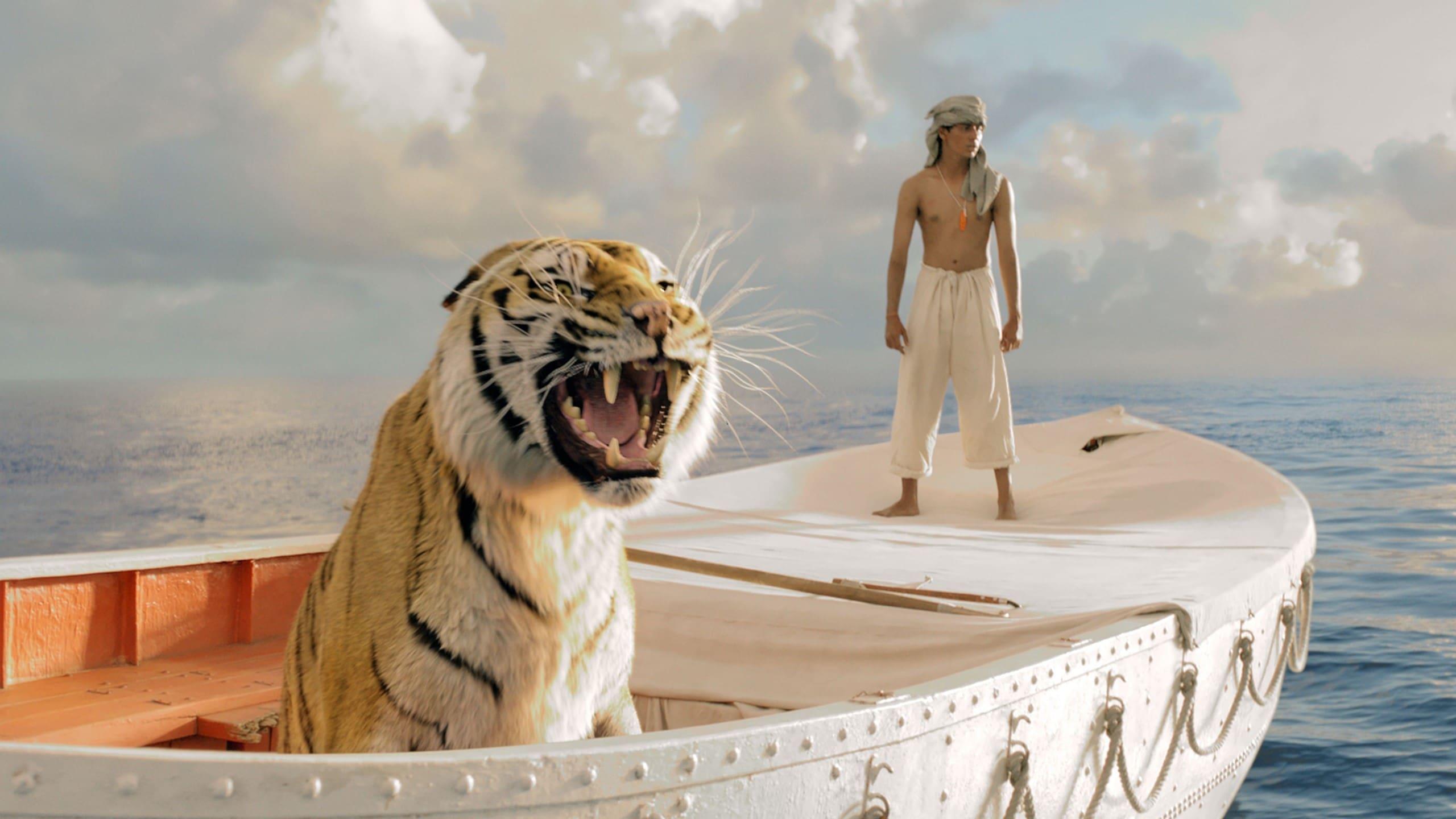 Backdrop for Life of Pi