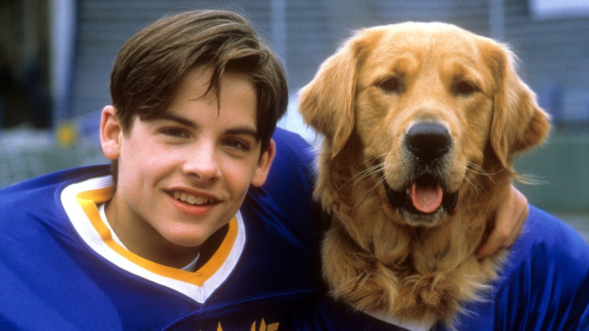 Backdrop for Air Bud: Golden Receiver