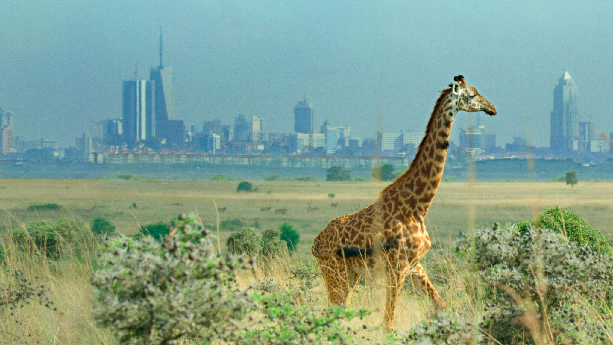 Backdrop for Breaking Boundaries: The Science of Our Planet