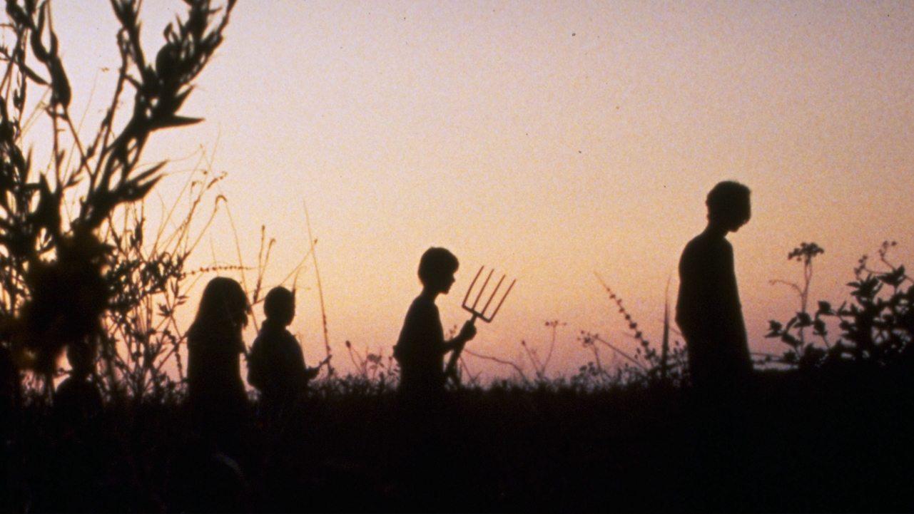 Backdrop for Children of the Corn IV: The Gathering