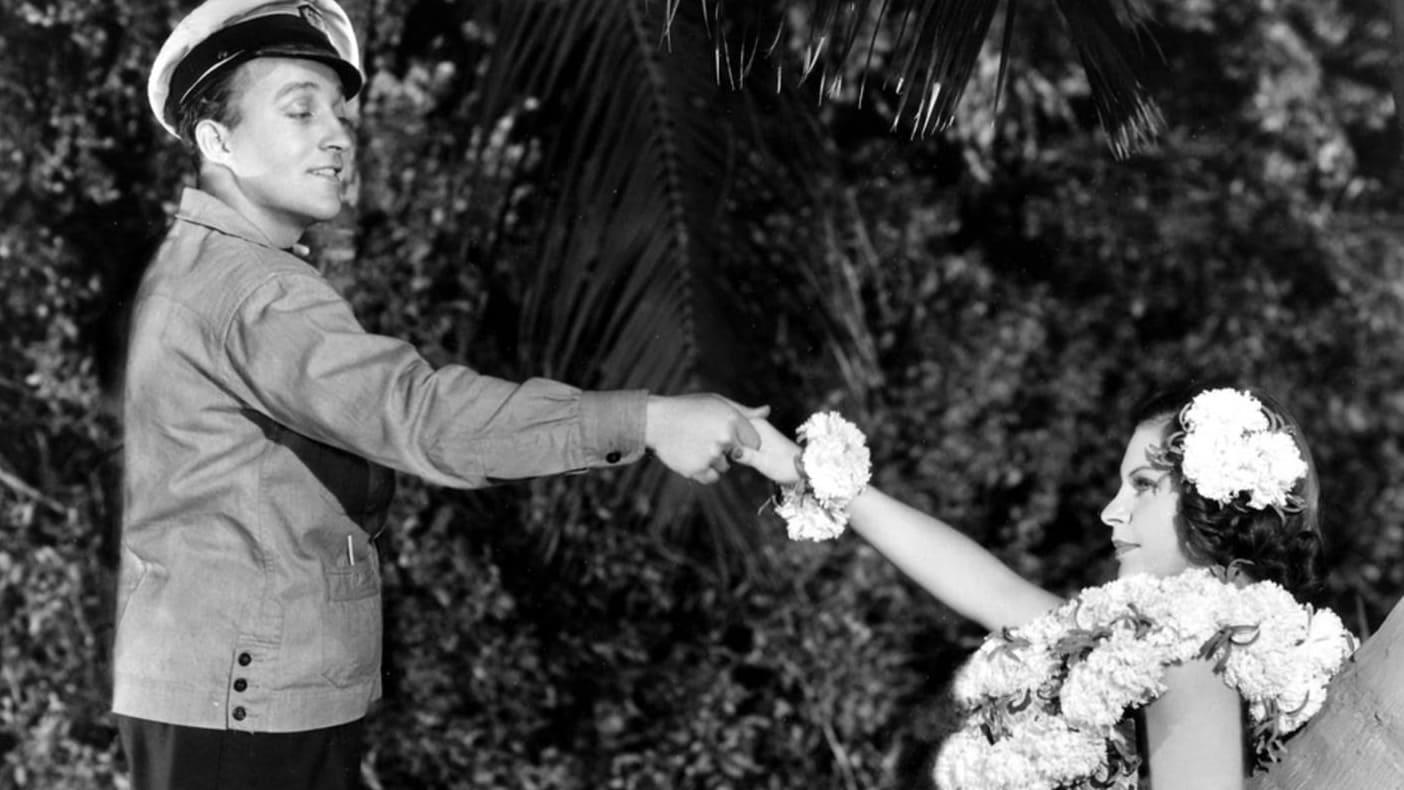 Backdrop for Waikiki Wedding