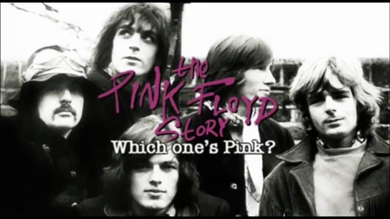 Backdrop for The Pink Floyd Story: Which One's Pink?