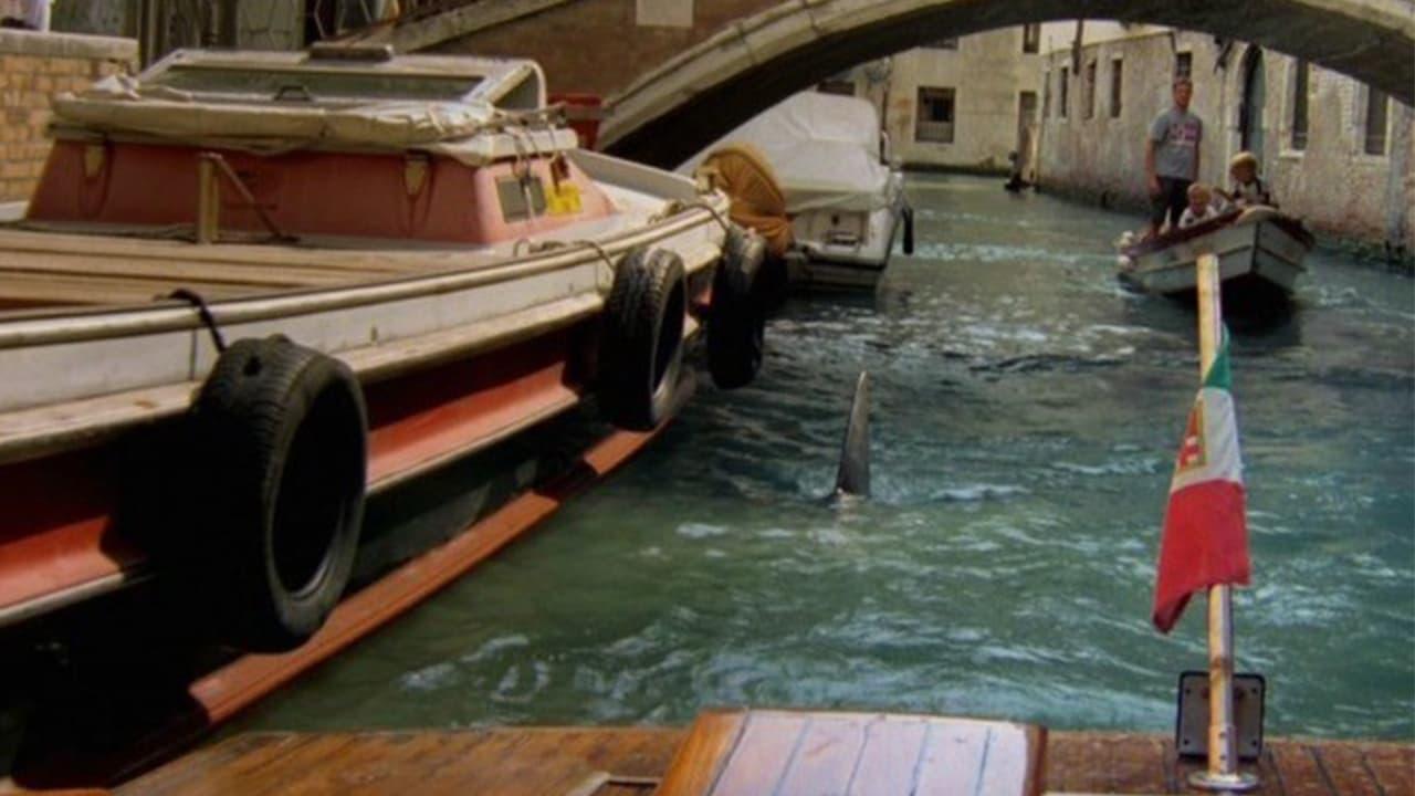 Backdrop for Sharks in Venice