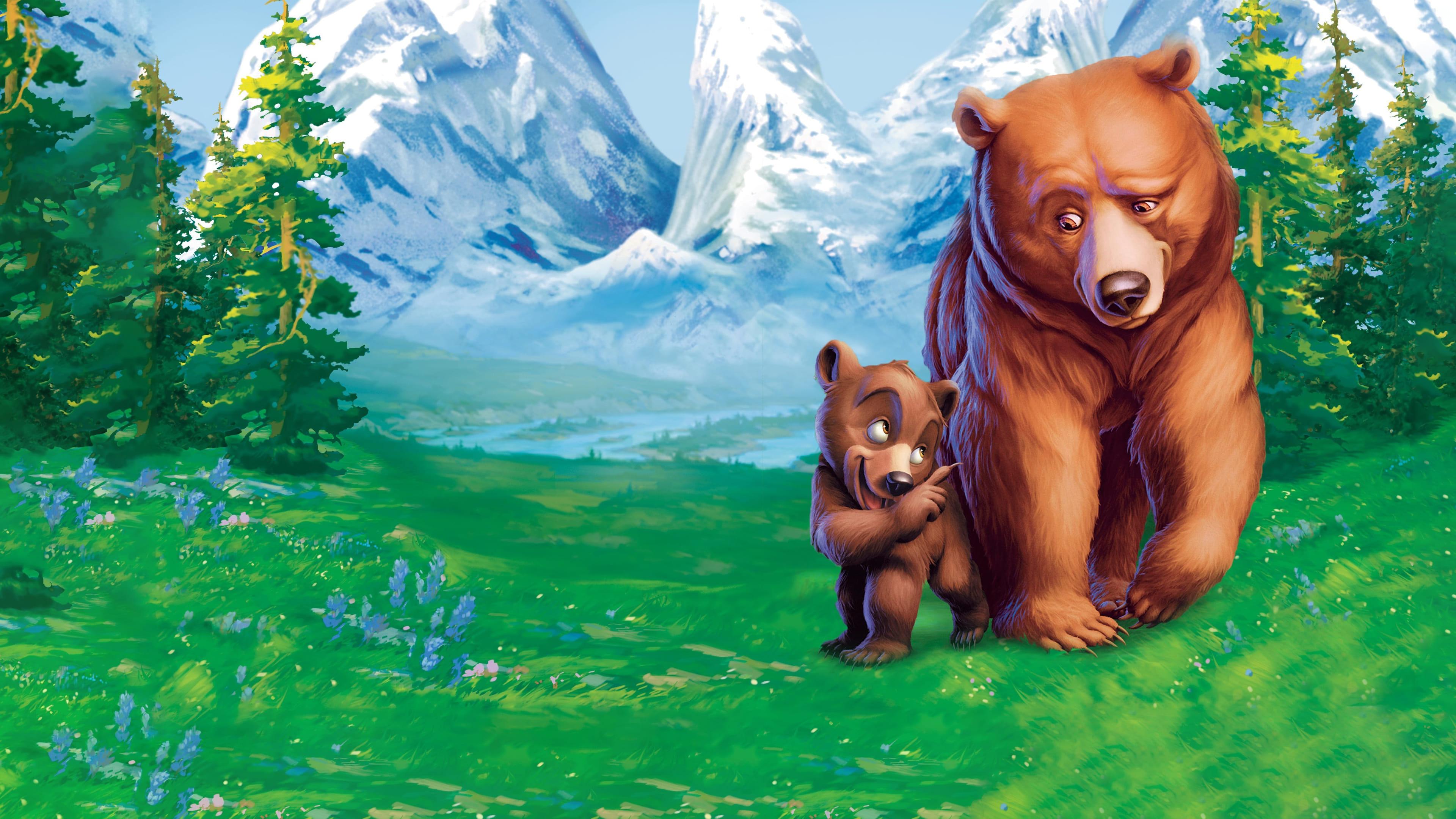 Backdrop for Brother Bear