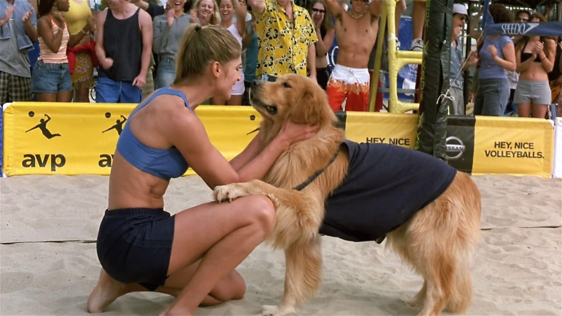 Backdrop for Air Bud: Spikes Back