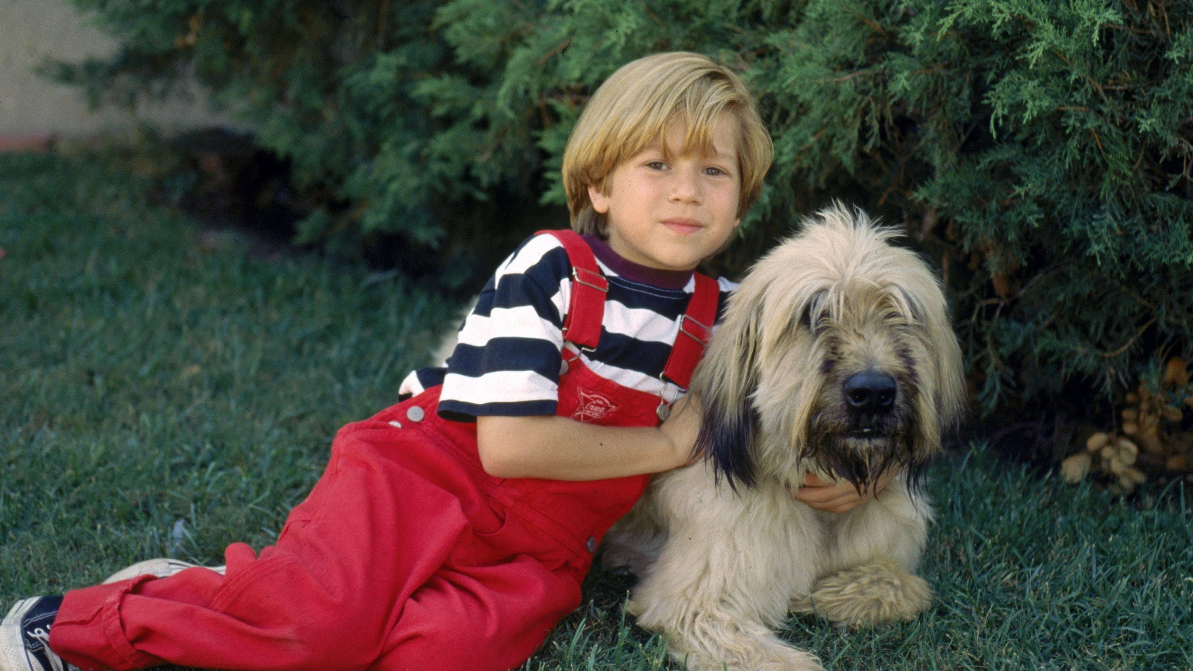 Backdrop for Dennis the Menace Strikes Again!