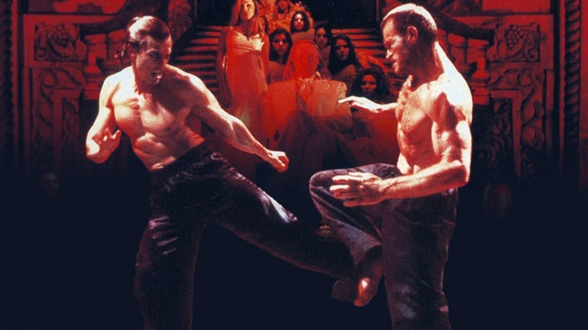 Backdrop for Bloodsport: The Dark Kumite