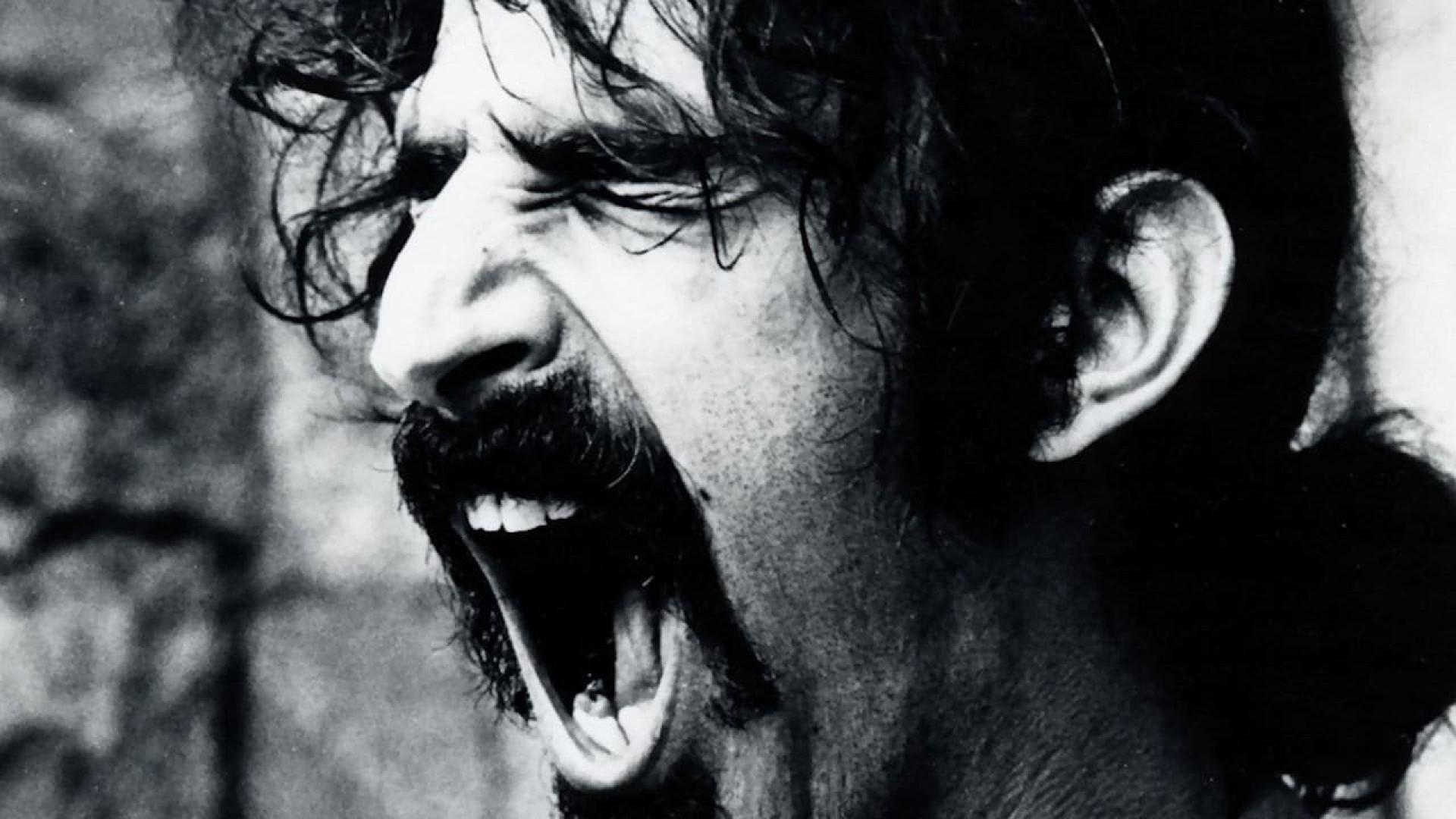 Backdrop for Frank Zappa: Does Humor Belong in Music?