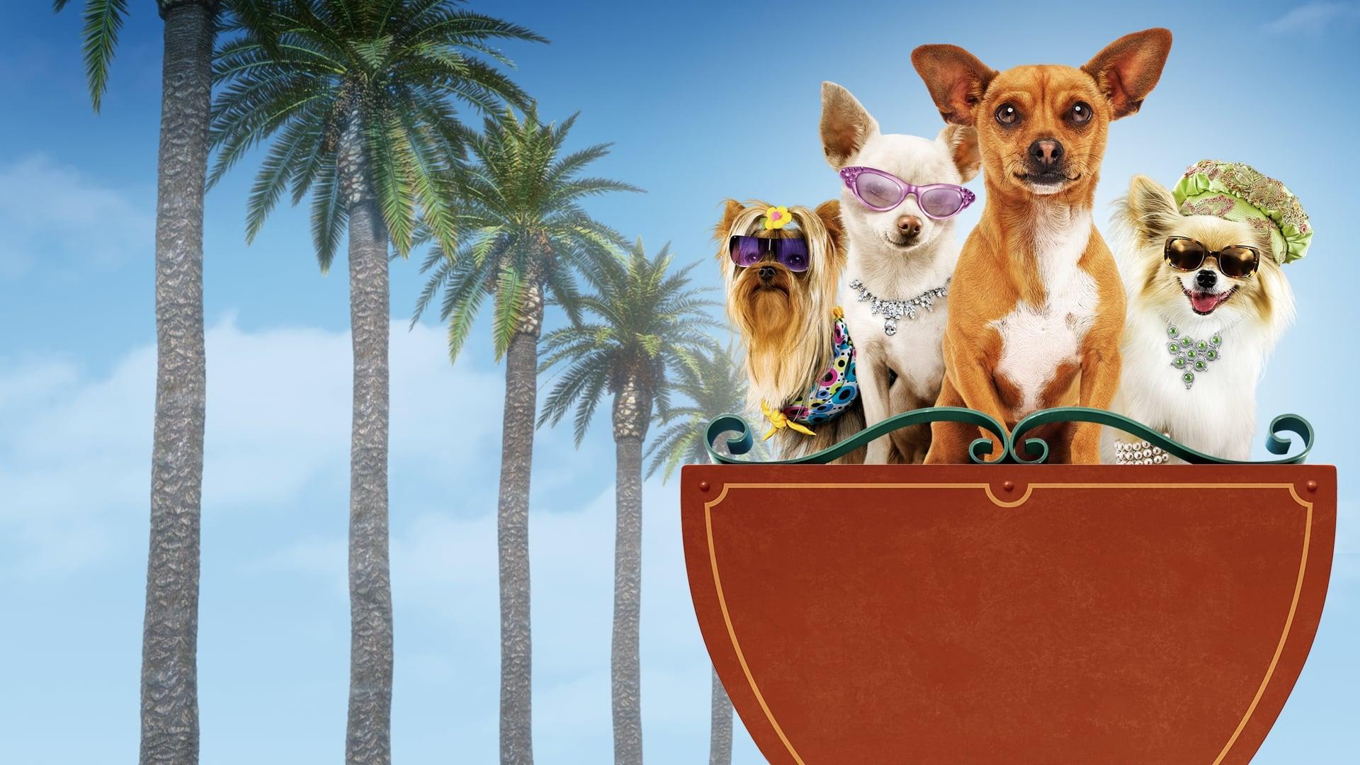 Backdrop for Beverly Hills Chihuahua