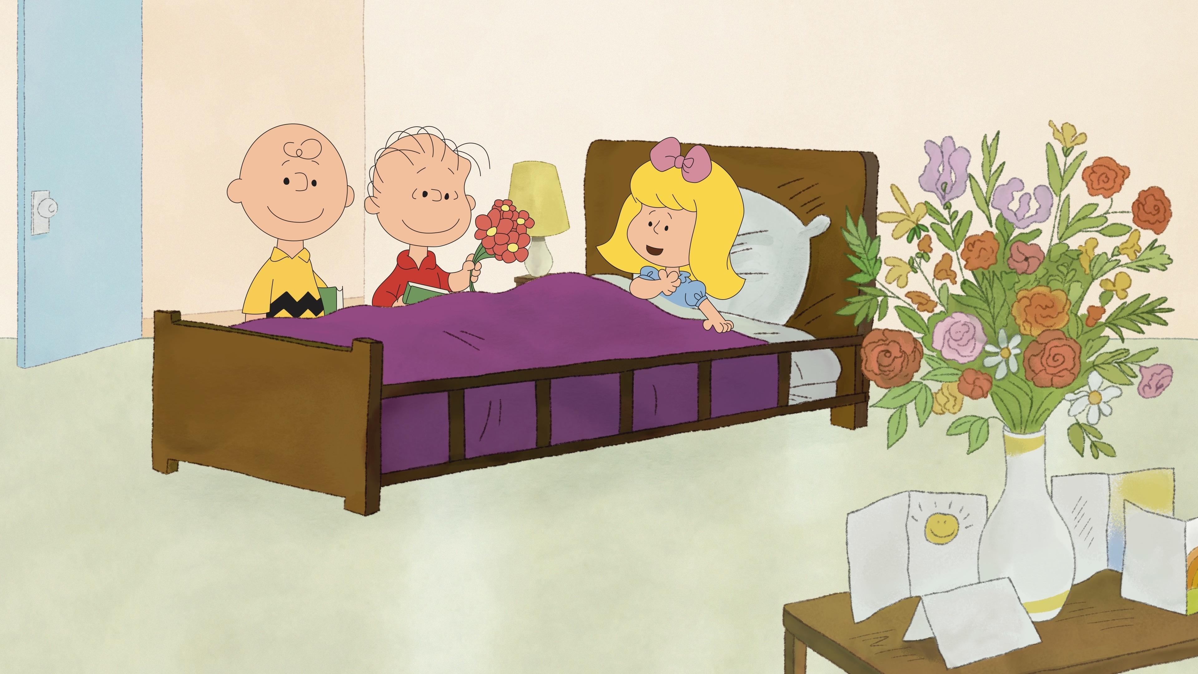 Backdrop for Why, Charlie Brown, Why?