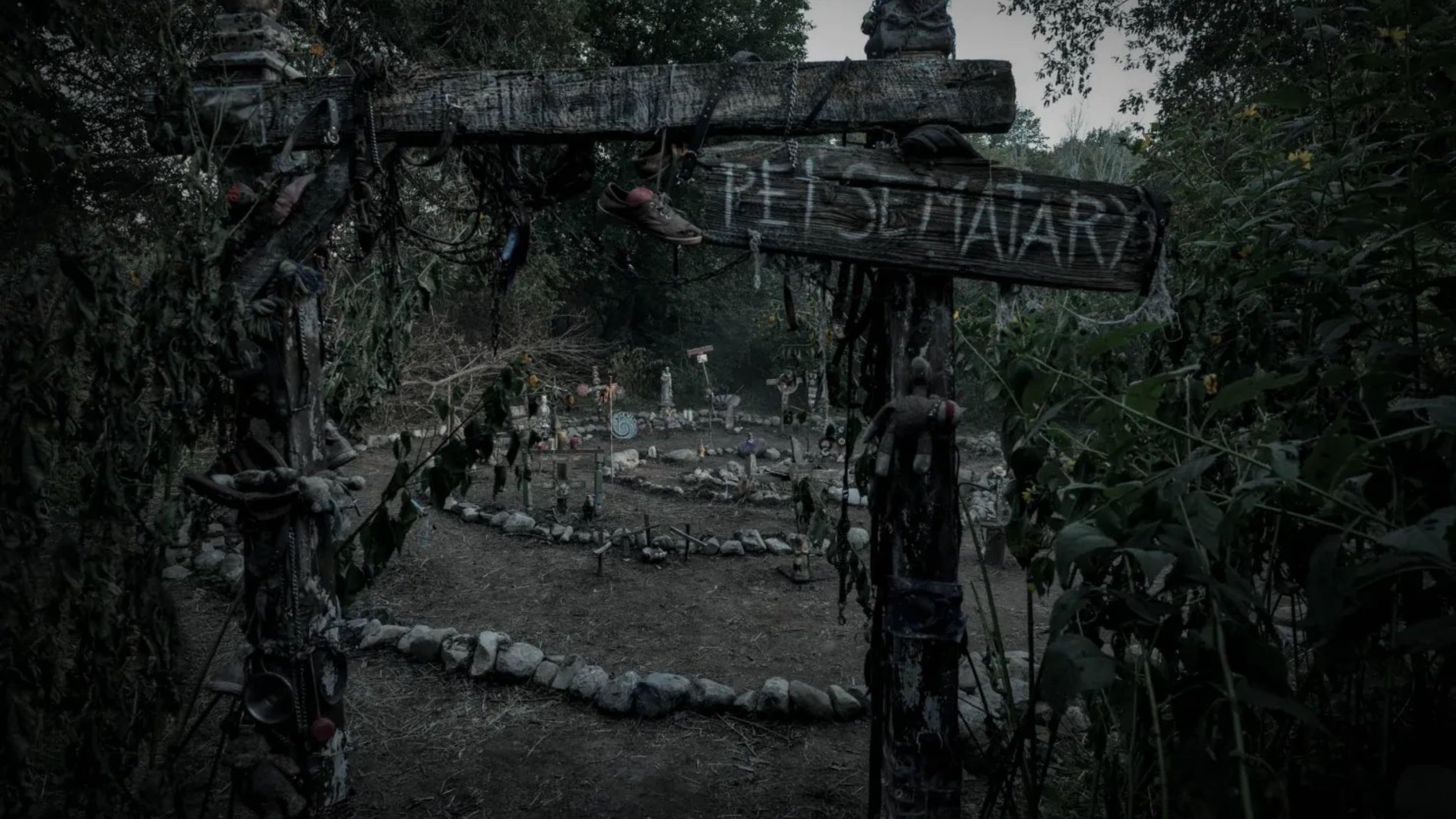 Backdrop for Pet Sematary: Bloodlines