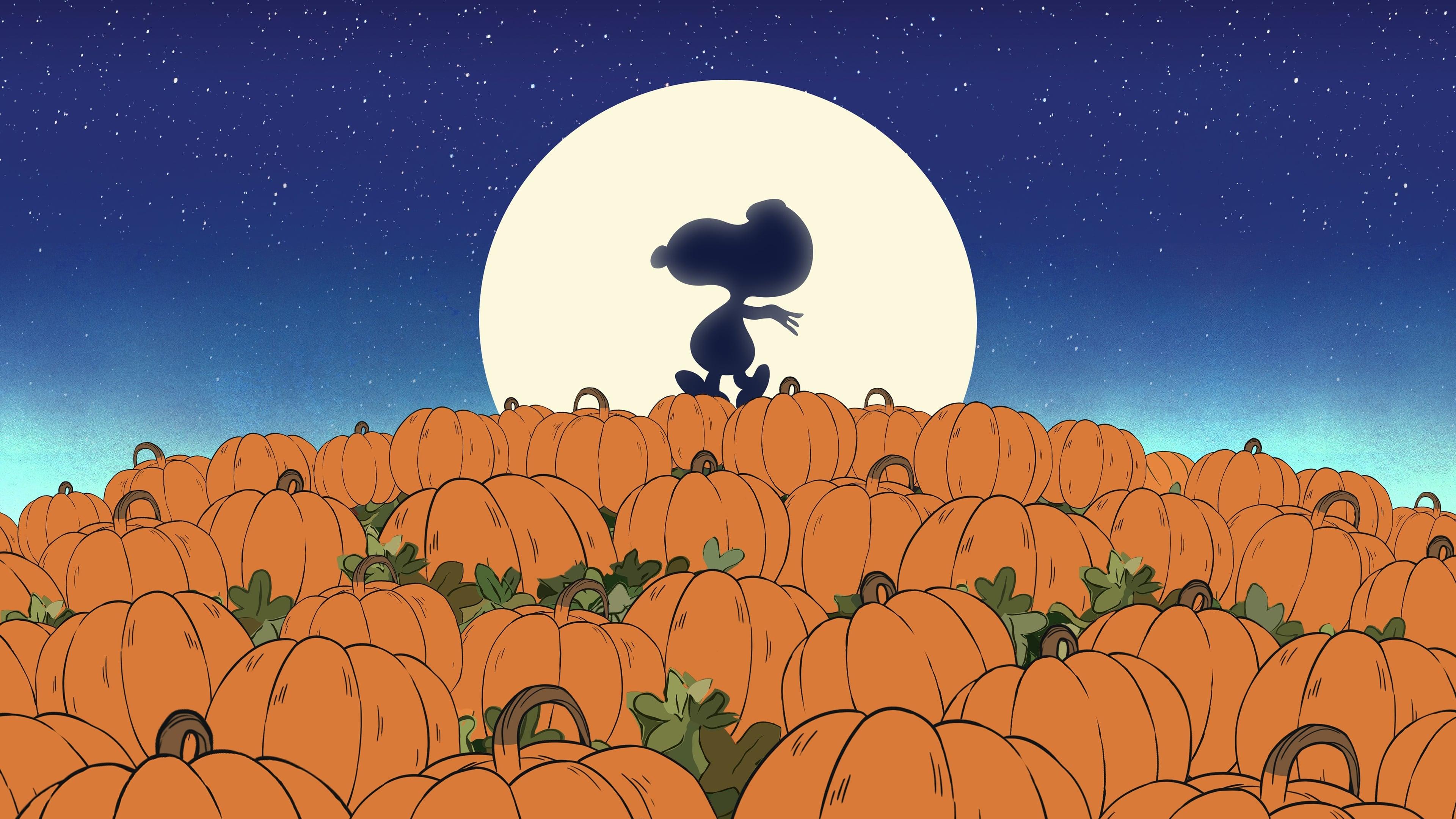 Backdrop for It's the Great Pumpkin, Charlie Brown