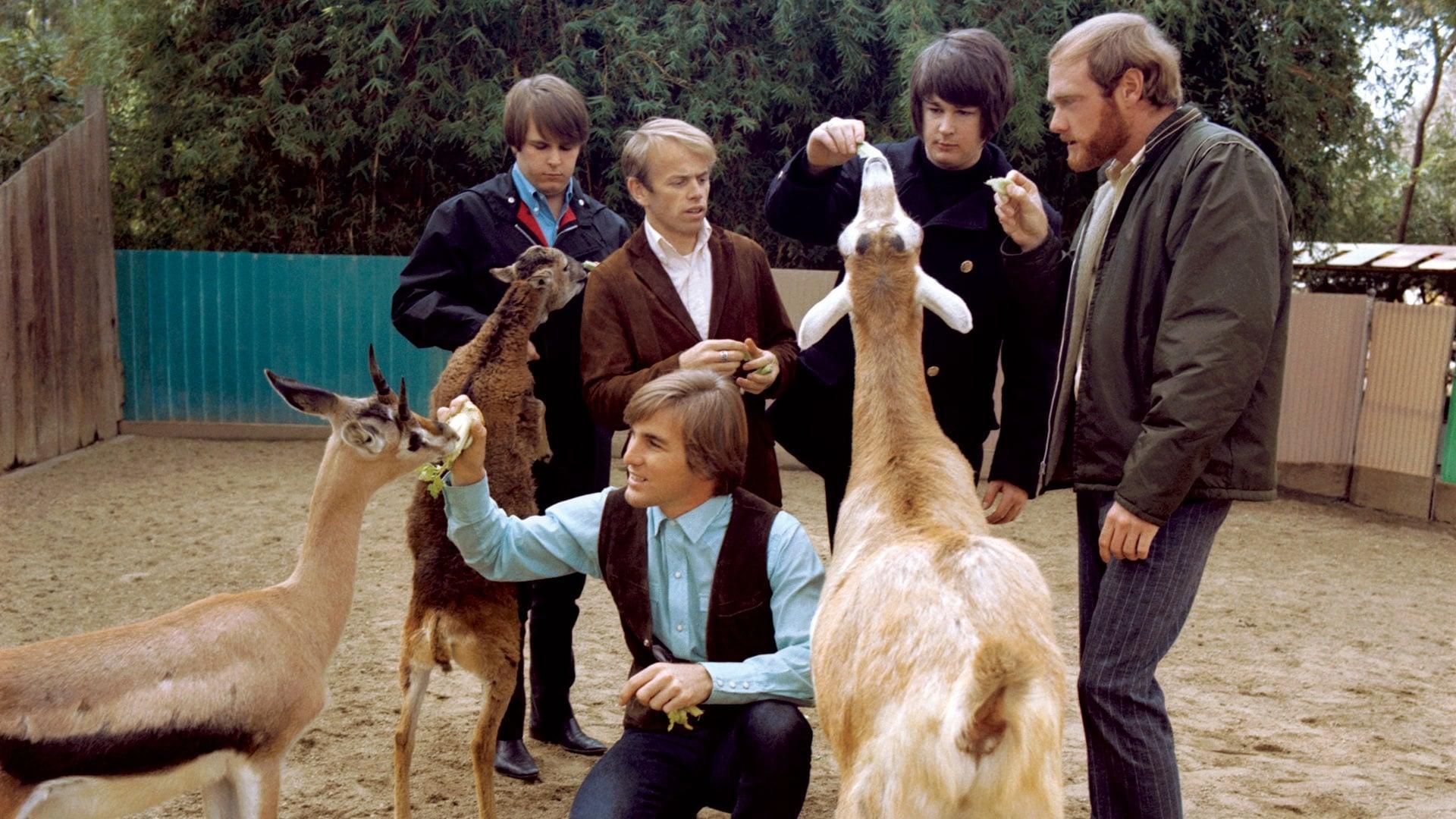 Backdrop for The Beach Boys: Making Pet Sounds