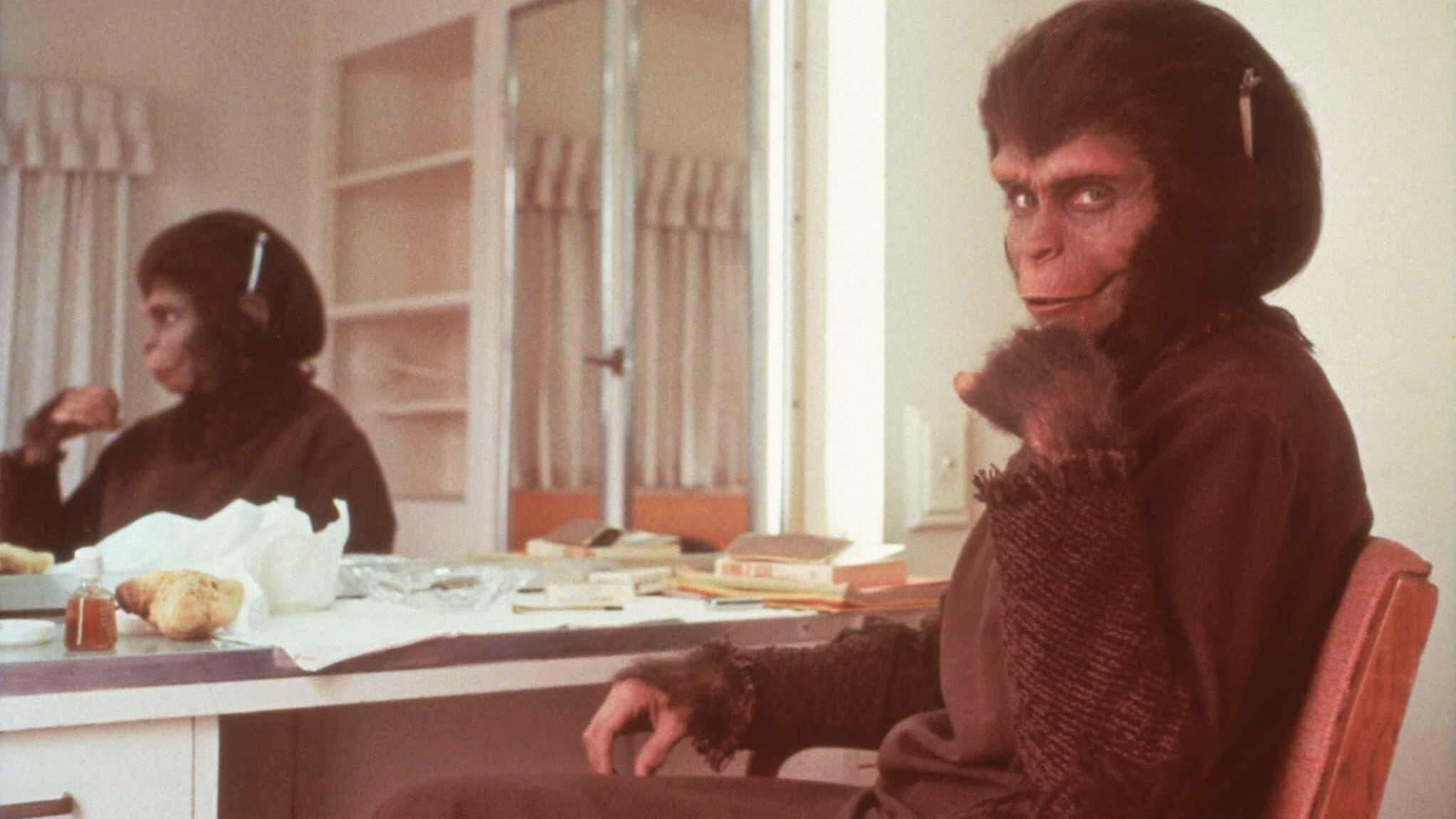 Backdrop for Behind the Planet of the Apes