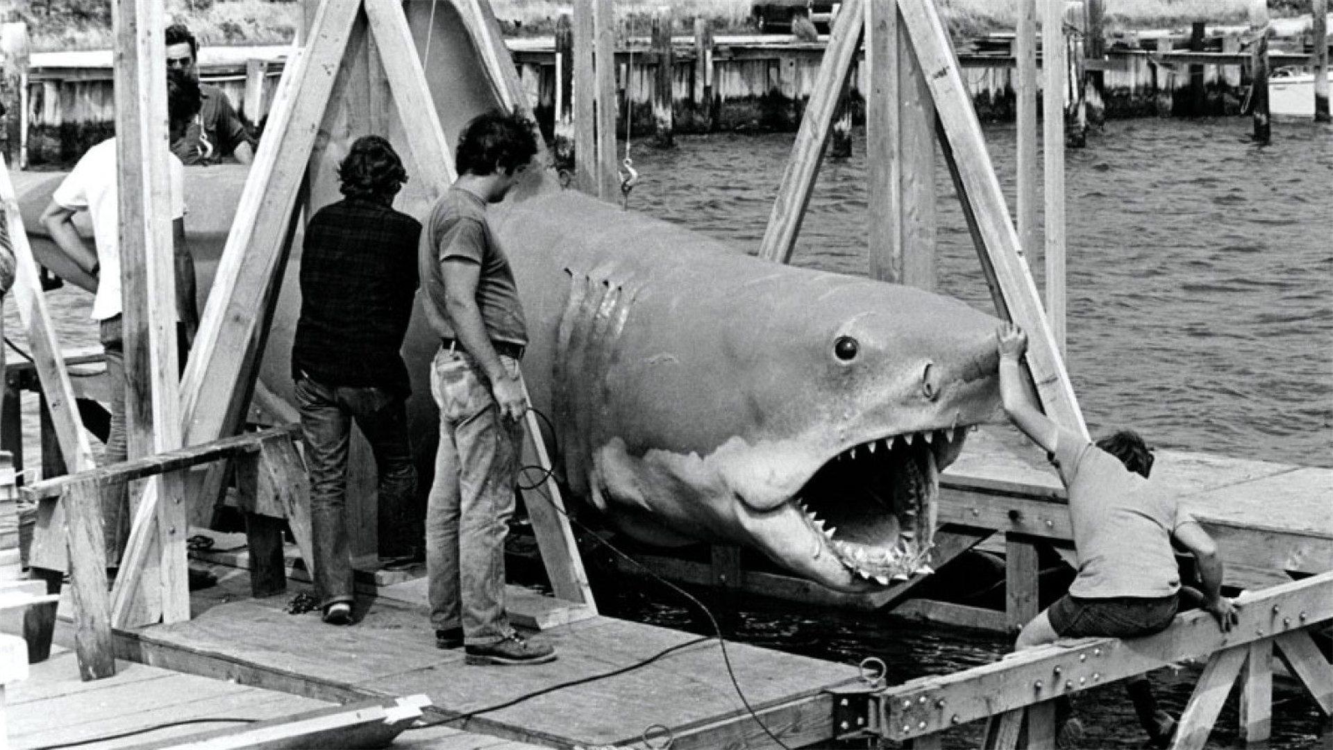 Backdrop for The Shark Is Still Working: The Impact & Legacy of "Jaws"