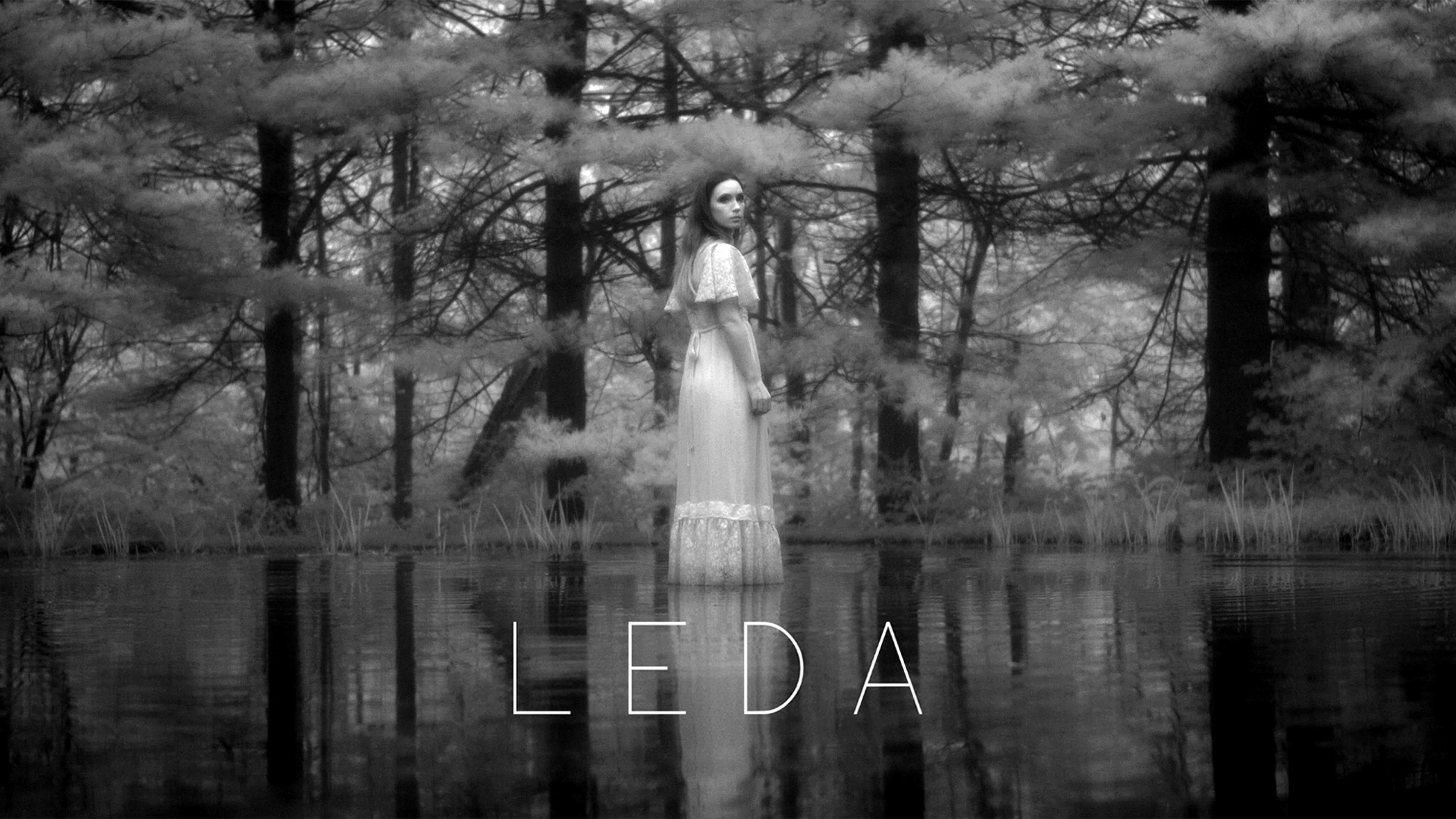 Backdrop for Leda