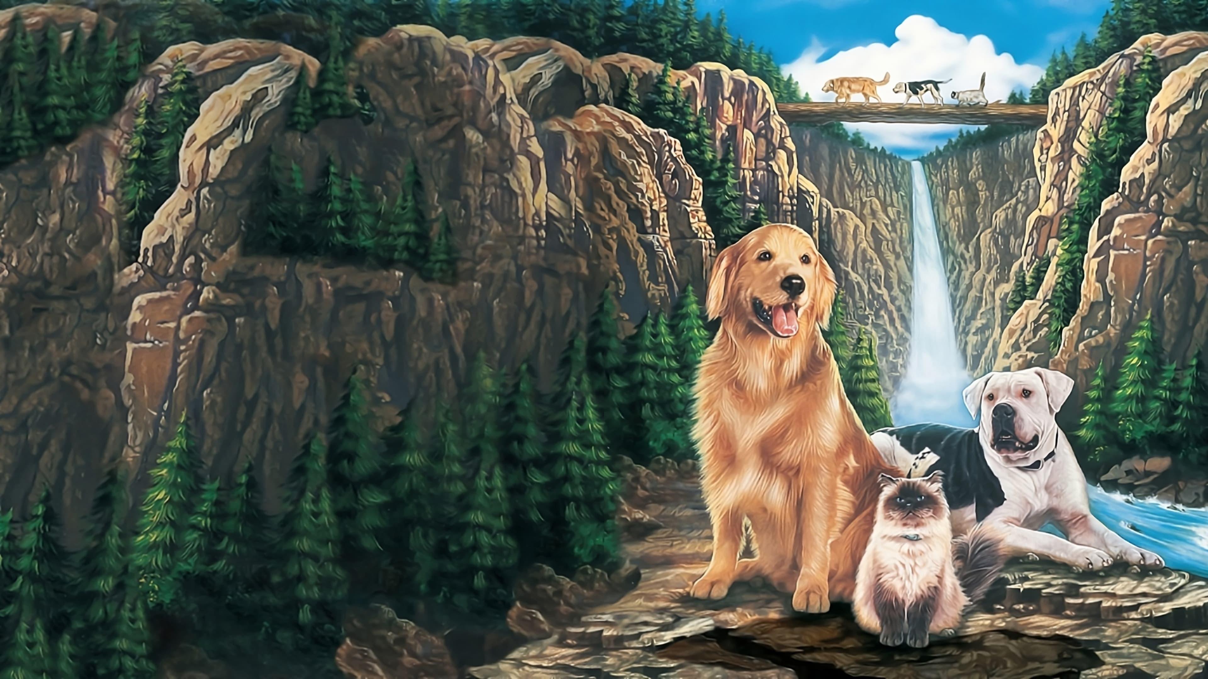 Backdrop for Homeward Bound: The Incredible Journey