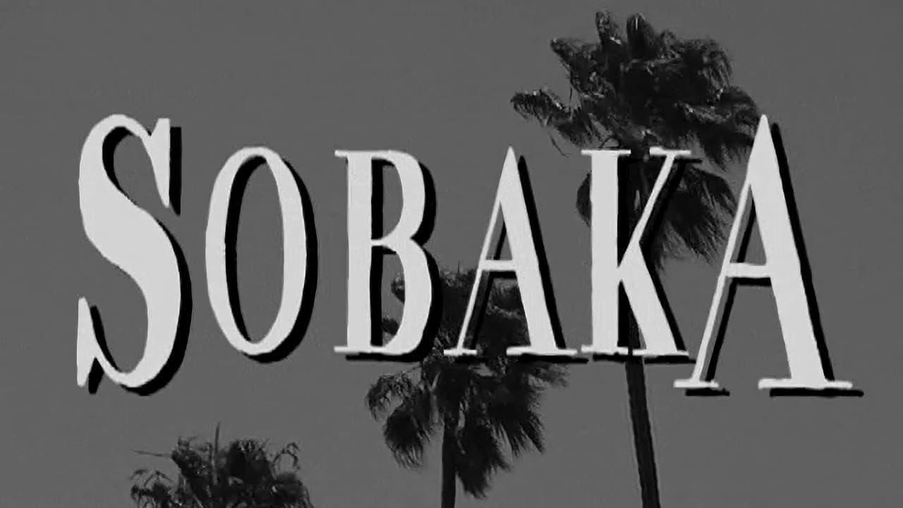 Backdrop for Sobaka