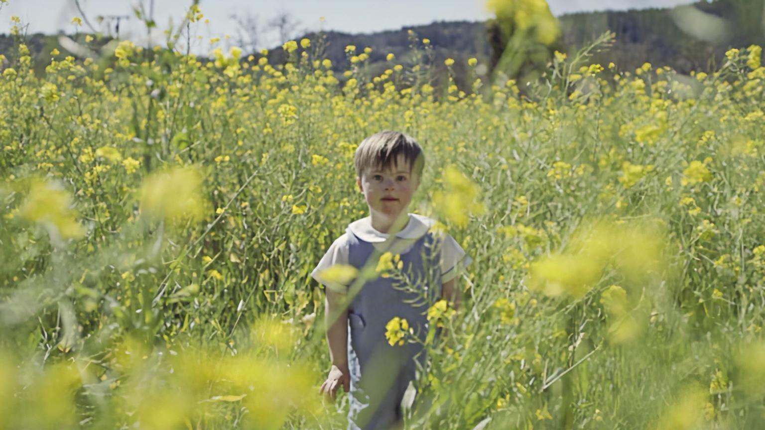 Backdrop for So Much Yellow