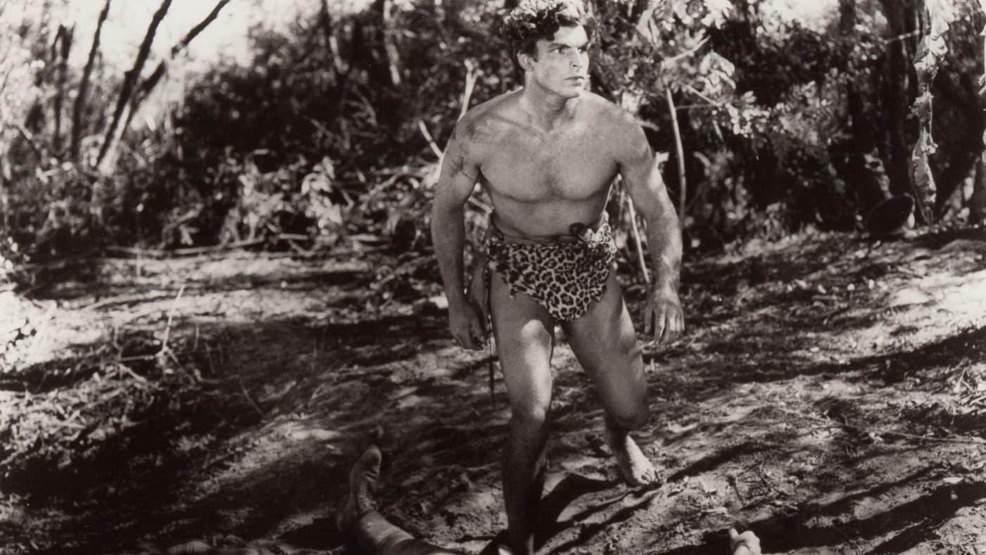 Backdrop for Tarzan: Silver Screen King of the Jungle