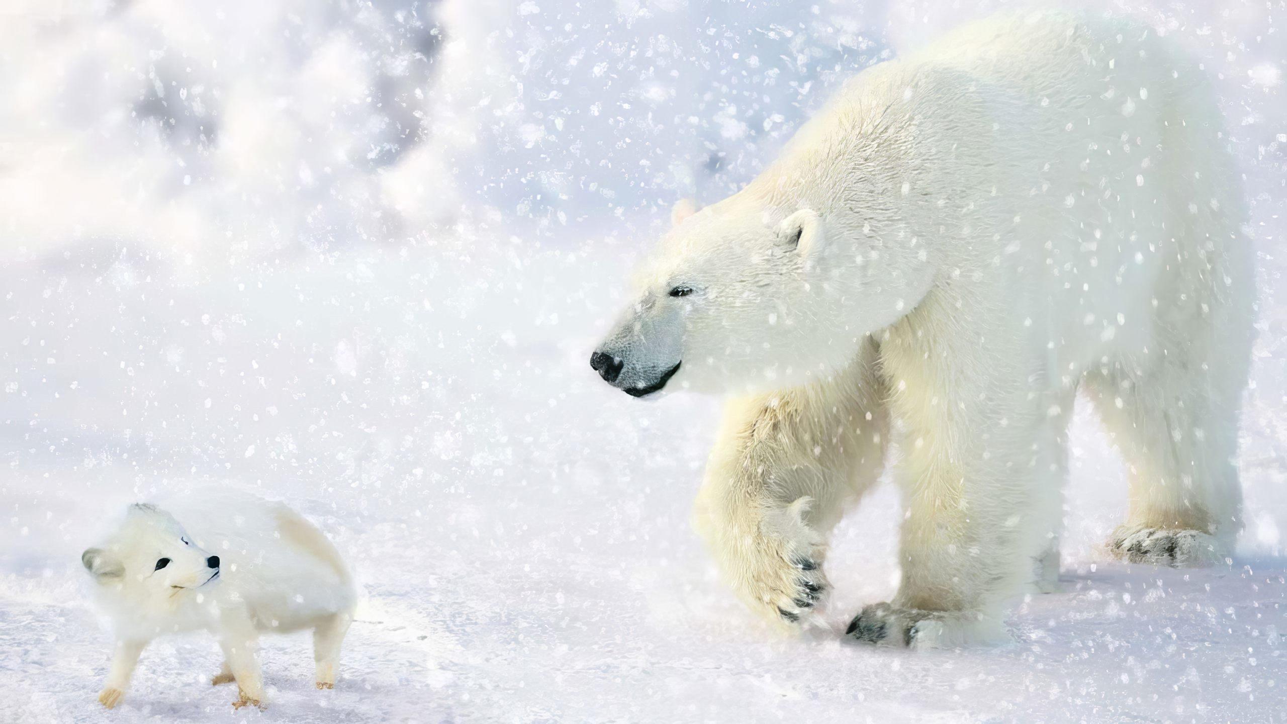 Backdrop for The Great Polar Bear Adventure